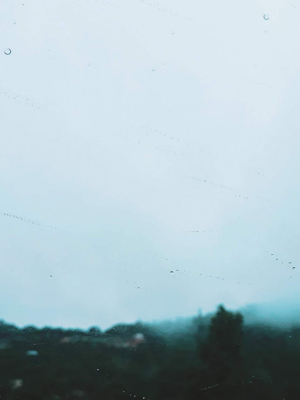 gray sky over green forest trees