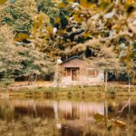 house on coast of lake in forest