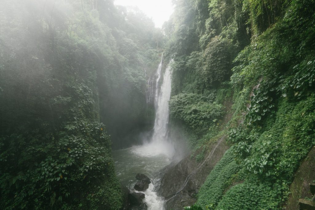 amazing waterfall with lush foliage on rocks