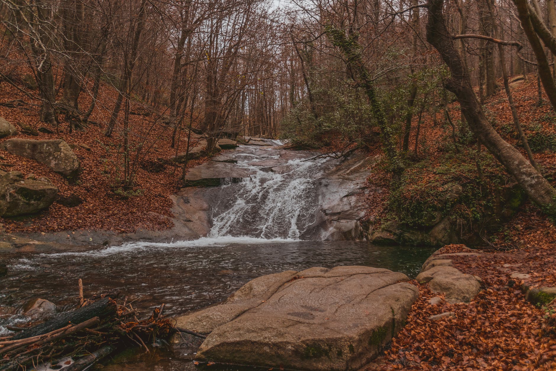 stream of river among rocky formations in forest