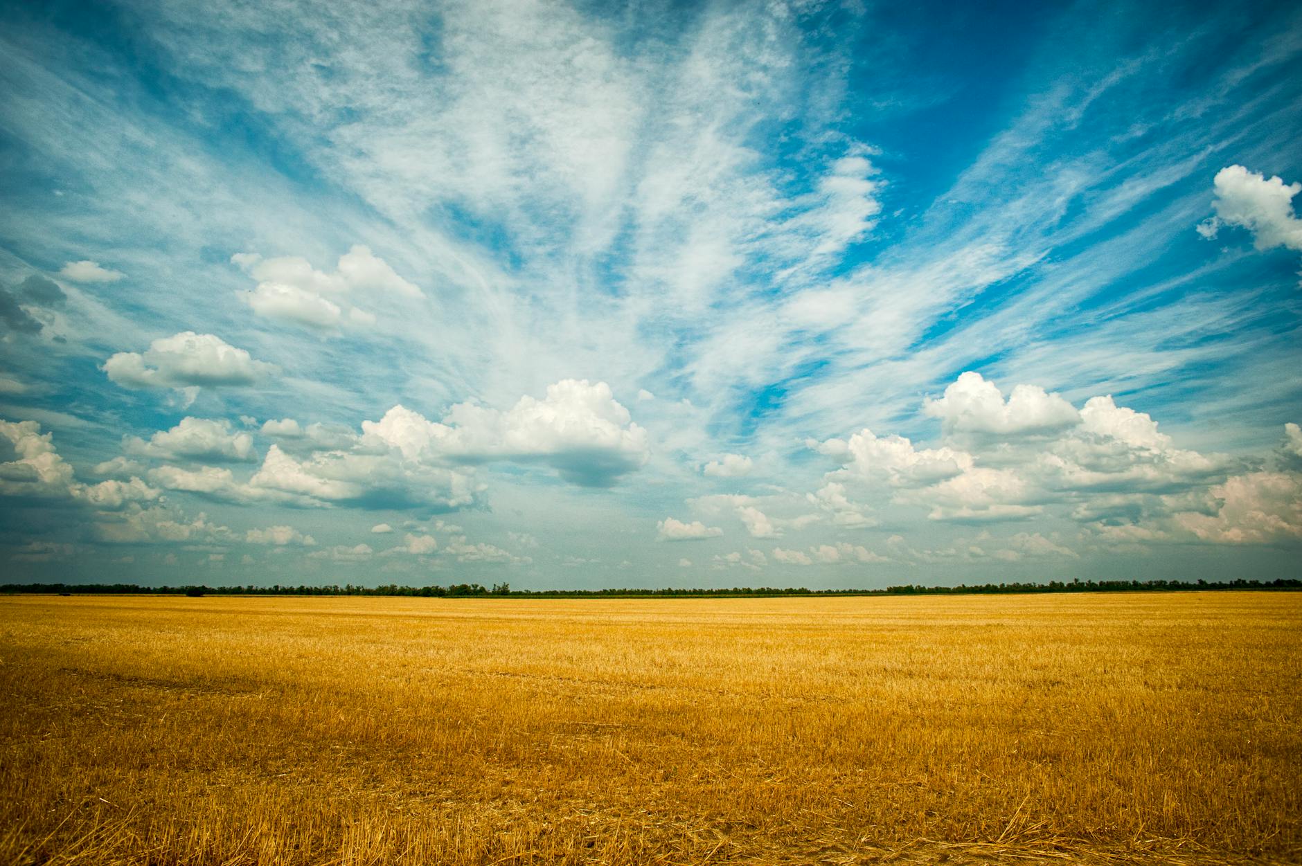 photo of grass field